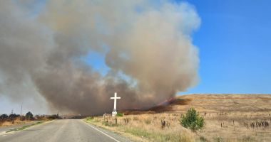 Stire din Eveniment : Incendiu de vegetație, între localitățile Nazarcea și Ovidiu. Intervin cinci autospeciale de stingere
