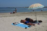 Hotelierii pot închiria plaje de la DADL