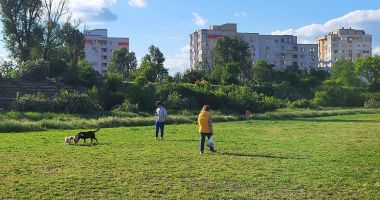 Uzina Flora şi Mini Zoo în loc de sport de performanţă! Dezastrul din Complexul "Badea Cârţan" - 6