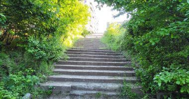 Uzina Flora şi Mini Zoo în loc de sport de performanţă! Dezastrul din Complexul "Badea Cârţan" - 8