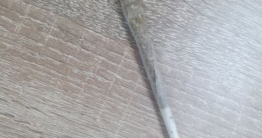 Stire din Eveniment : Doi tineri descoperiți în Vama Veche că ”fumau o țigară ce conținea canabis”