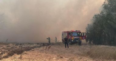 GALERIE FOTO. Impresionante imagini cu eroii acestor zile, pompierii - 7