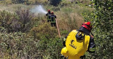Stire din Social : GALERIE FOTO. 40 de pompieri români vor monitoriza zonele cu risc de incendiu de pădure din sudul Franței