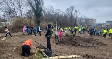 Lecție de implicare! Ploaia nu a oprit voluntarii să planteze copaci la Palatul Copiilor - 6