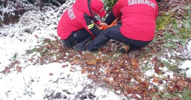 Stire din Eveniment : Misiune dificilă pentru jandarmii montani: turiști străini blocați într-o zonă greu accesibilă