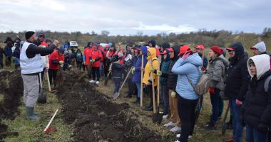 Peste 5.000 de puieți plantați astăzi în comuna Cumpăna, ca parte a proiectului „Plantează în România” - 4