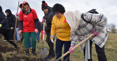 Peste 5.000 de puieți plantați astăzi în comuna Cumpăna, ca parte a proiectului „Plantează în România” - 5
