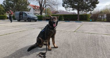Gruparea de Jandarmi Mobilă „Tomis” și-a sărbătorit aniversarea alături de sute de copii - 4