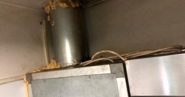 Galerie foto-video. Două pizzerii din Constanța, închise temporar de Protecția Consumatorilor - 3