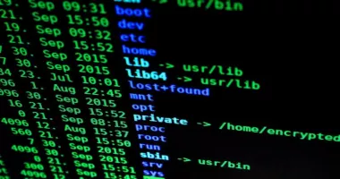 Hackerii au atacat și site-ul Senatului României