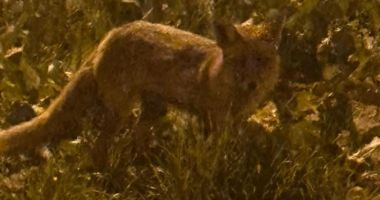 Stire din Social : Șocant! Locuitorii din cartierul Poarta 6 se tem să mai iasă din case. GALERIE FOTO
