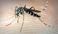 Stire din Sănătate : Meningita West Nile s-a răspândit din cauza căldurii excesive din această vară