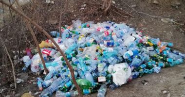 GALERIE FOTO / Mobilizare la Poliția Locală în toate cartierele din Constanța - 4