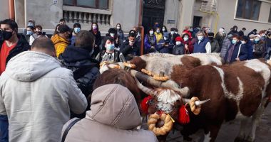 GALERIE FOTO / Mii de persoane, prezente la slujba de Bobotează, la Constanţa - 5