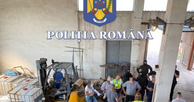 Mii de litri de precursori de explozivi au fost descoperiți la sediul unei societăți comerciale - 3