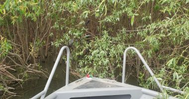 ALERTĂ! Un bărbat a dispărut în Dunăre, este căutat de scafandrii de la ISU Dobrogea - 3