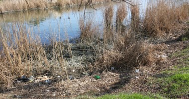 GALERIE FOTO/ Parcul Tăbăcăriei, sub povara nepăsării! - 2