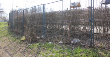 GALERIE FOTO/ Parcul Tăbăcăriei, sub povara nepăsării! - 3