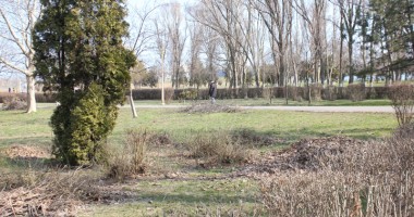 GALERIE FOTO/ Parcul Tăbăcăriei, sub povara nepăsării! - 4