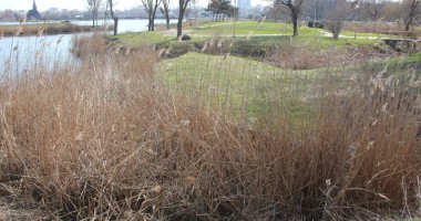 GALERIE FOTO/ Parcul Tăbăcăriei, sub povara nepăsării! - 5