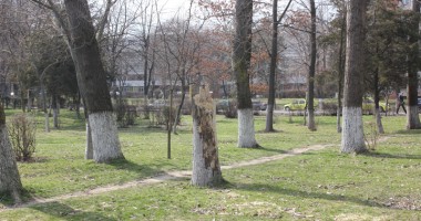 GALERIE FOTO/ Parcul Tăbăcăriei, sub povara nepăsării! - 8