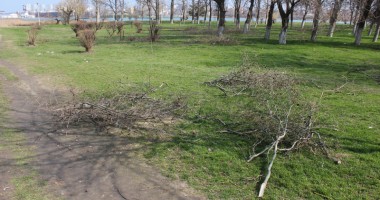 GALERIE FOTO/ Parcul Tăbăcăriei, sub povara nepăsării! - 10
