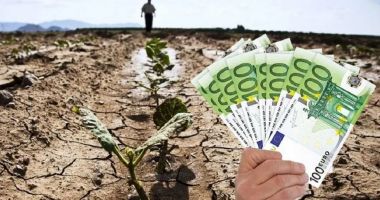 Stire din Economie : Sprijin european de 391,4 milioane de euro pentru compensarea riscurilor din agricultură