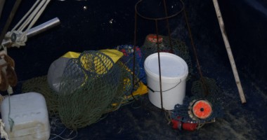 O tonă de melci de mare confiscată la Constanța - 4