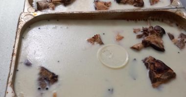 Șocant! Gândaci filmați plimbându-se printr-un restaurant de fițe din Constanța - 6