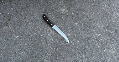 Trei minori și un tânăr au fost prinși în flagrant la furat de mașini, în Medgidia - 2