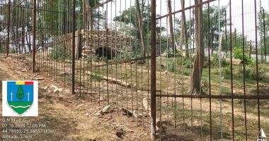 Stire din Eveniment : Animale legate cu lanțul într-o gradină zoologică ilegală. Cât era preţul unui bilet de intrare