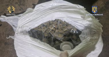 Bilanț DIICOT. Două tone de droguri indisponibilizate în primele șapte luni ale lui 2025 - 2