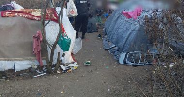Galerie foto / Curățenie la Constanța! Lucrătorii de la salubritate, în acțiune - 2