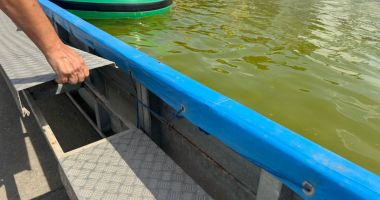 Stire din Social : Amenzi de 620.000 lei pe litoral: piscine murdare, camere insalubre şi produse expirate, descoperite de ANPC