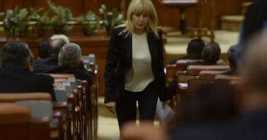 Udrea a sosit la Parlament! Iată motivul