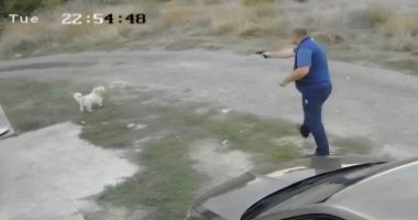Stire din Eveniment : Poliția a demarat o anchetă după ce un bărbat din Constanța a tras cinci focuri de armă într-un cățel
