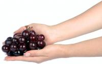 Sănătate din fructe de sezon