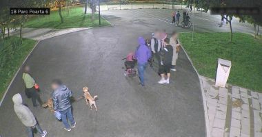 Stire din Eveniment : Poliția Locală face cercetări după ce mai multe plante din Parcul Poarta 6 au fost rupte
