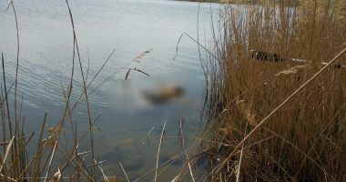 Stire din Eveniment : UPDATE - DESCOPERIRE MACABRĂ, în Canalul Dunăre Marea Neagră