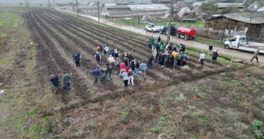 Tradiția continuă la Cumpăna. 3.000 de noi puieți plantați în cadrul proiectului "Plantează în România" - 2