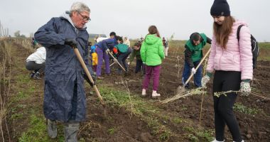 Tradiția continuă la Cumpăna. 3.000 de noi puieți plantați în cadrul proiectului "Plantează în România" - 5