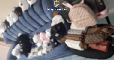 Acțiune cu forțe multiple în Costinești. Ce au descoperit polițiștii - 2