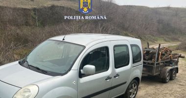 Stire din Eveniment : Doi tineri au fost prinși la furat de lemne, la Gârliciu