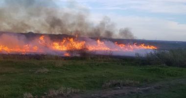 GALERIE FOTO / Incendiu de vegetație uscată în localitatea Lumina - 2