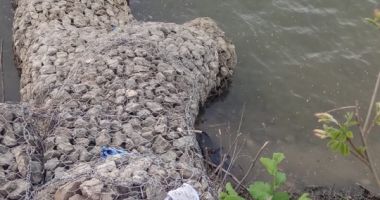 GALERIE FOTO-VIDEO / UPDATE. Copil ÎNECAT ÎN DUNĂRE, în județul Constanța - 4