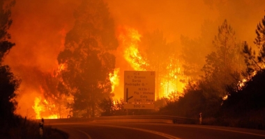 Stire din Actualitate : Tragedie în Portugalia / 57 de persoane au murit într-un incendiu de pădure din centrul țării. Numărul victimelor este în creștere