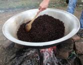 Lipsa de alimente va face omenirea ca până în 2030 să consume insecte