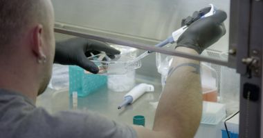 Stire din Eveniment : Cât timp rezistă canabisul în corp. Cazul unui șofer cu rezultat negativ la testul de sânge