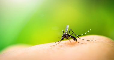 Virusul West Nile, confirmat la un pacient de 75 de ani