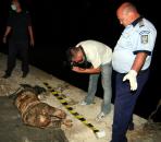 Stire din Eveniment : Femeia moartă din canal, aproape imposibil de identificat
